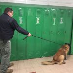 K-9 Sweep at Iberia H.S. “Routine” Says Sheriff Gregoire