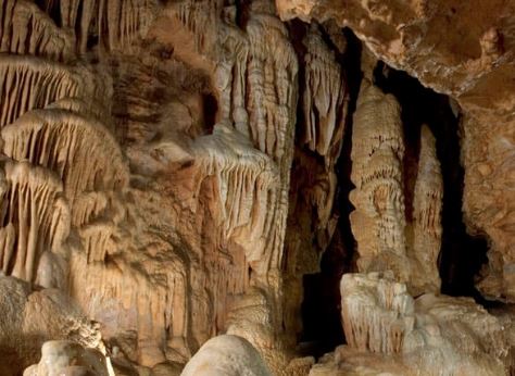 Prehistoric Ice Age Discovery Reported at Lake of the Ozarks