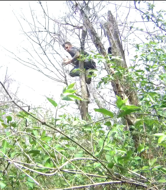 Man Arrested Following Police Foot Chase In Eldon