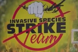 MODOT INVASIVE (08-05-2026)