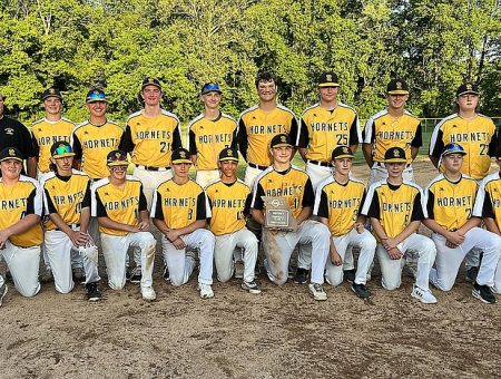 hornets baseball