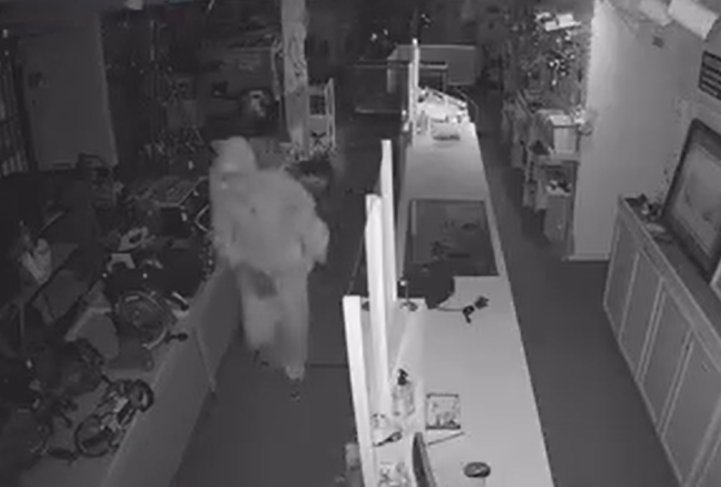 Camdenton Chamber Continues Gearing Up For the 73rd Annual Dogwood Festival