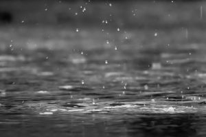 grayscale photography of raindrops