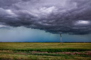 green grass field under white clouds