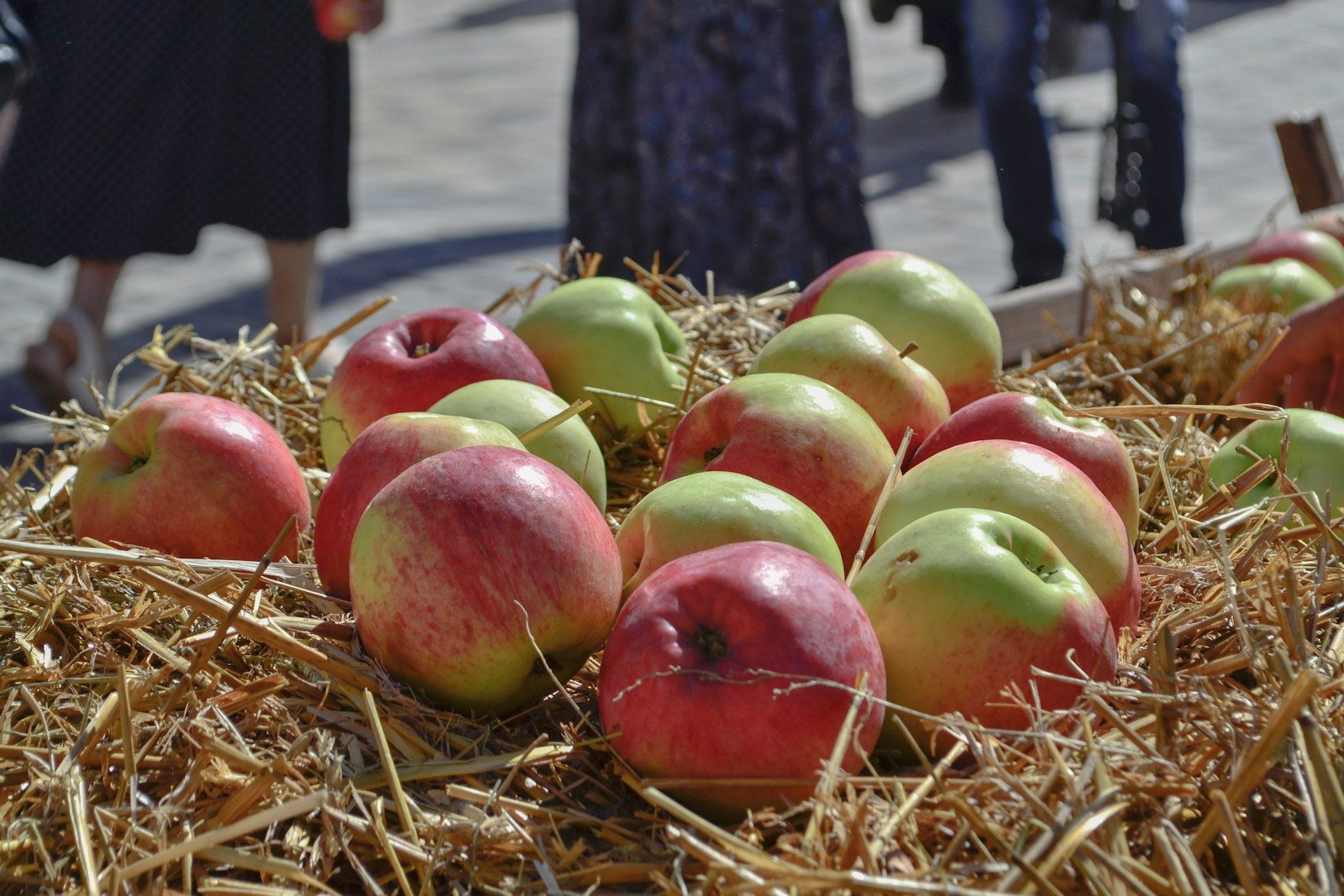 Vendor Applications Open For Versailles Old Tyme Apple Festival