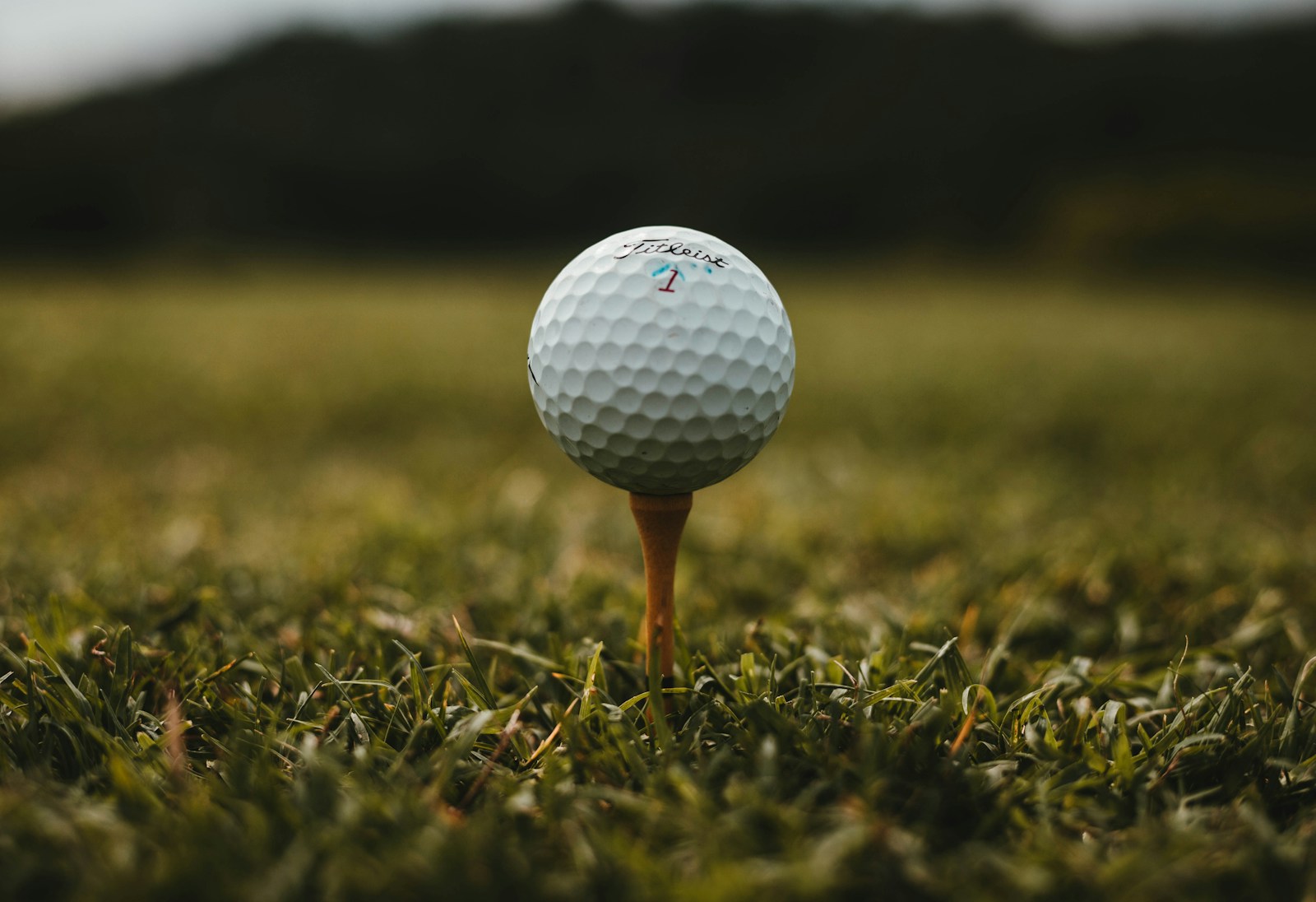 Bradley Not Selected Ryder Cup Captain For Golf Championships