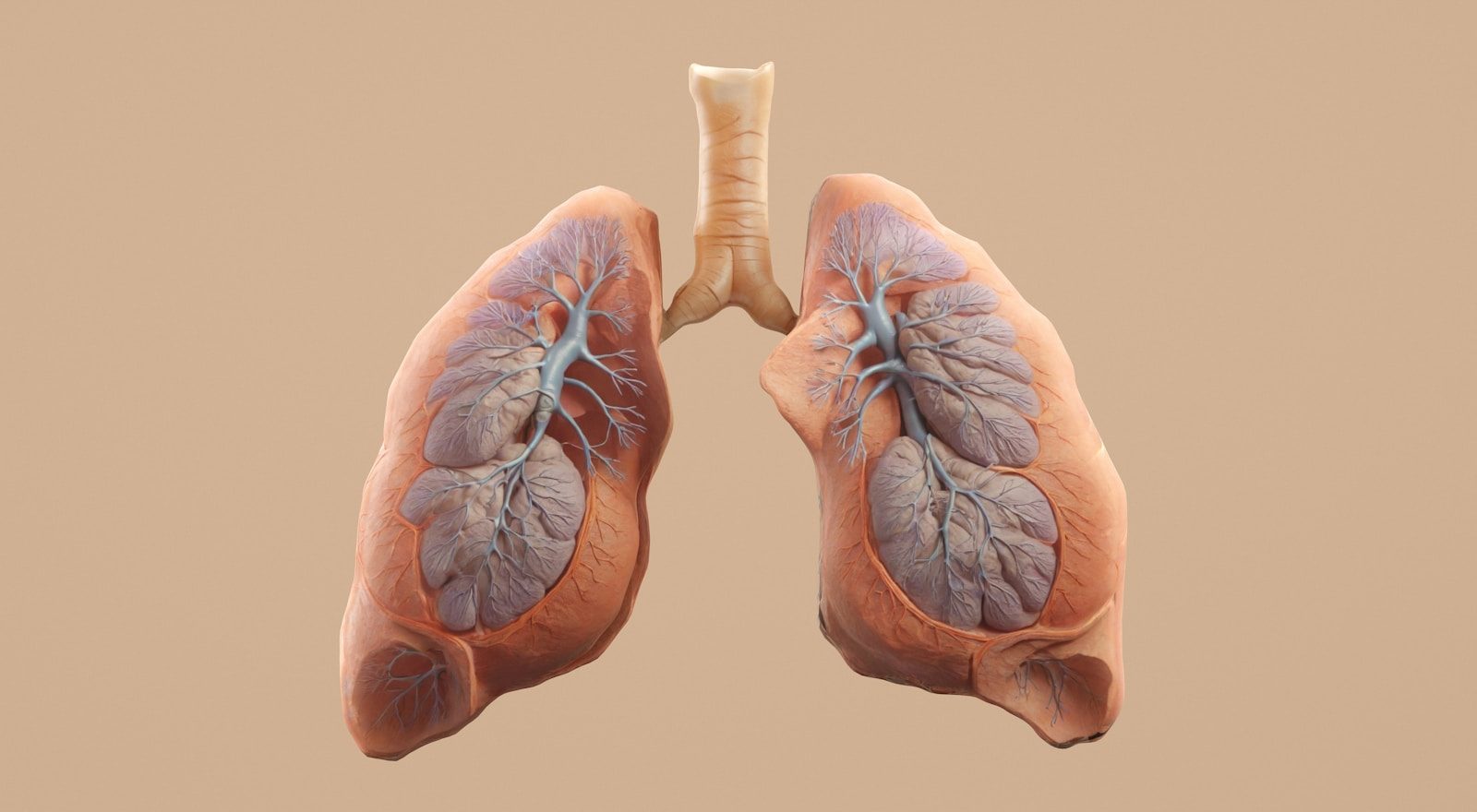 A new study finds more than half of patients with advanced lung cancer don’t get treatment.