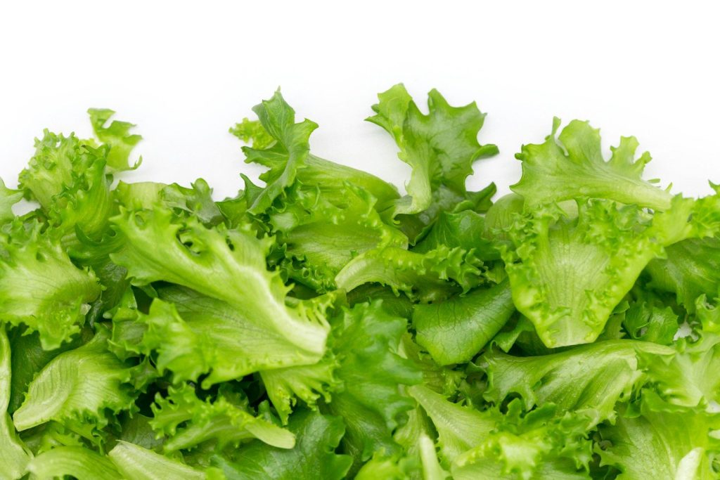 green vegetable on white background