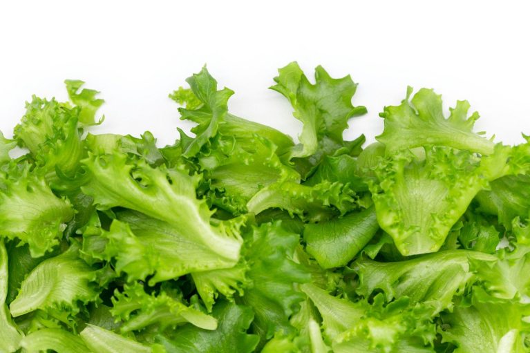 green vegetable on white background